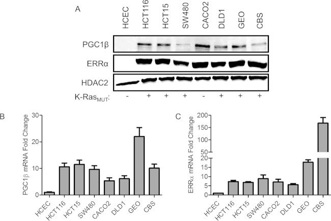 FIG 6