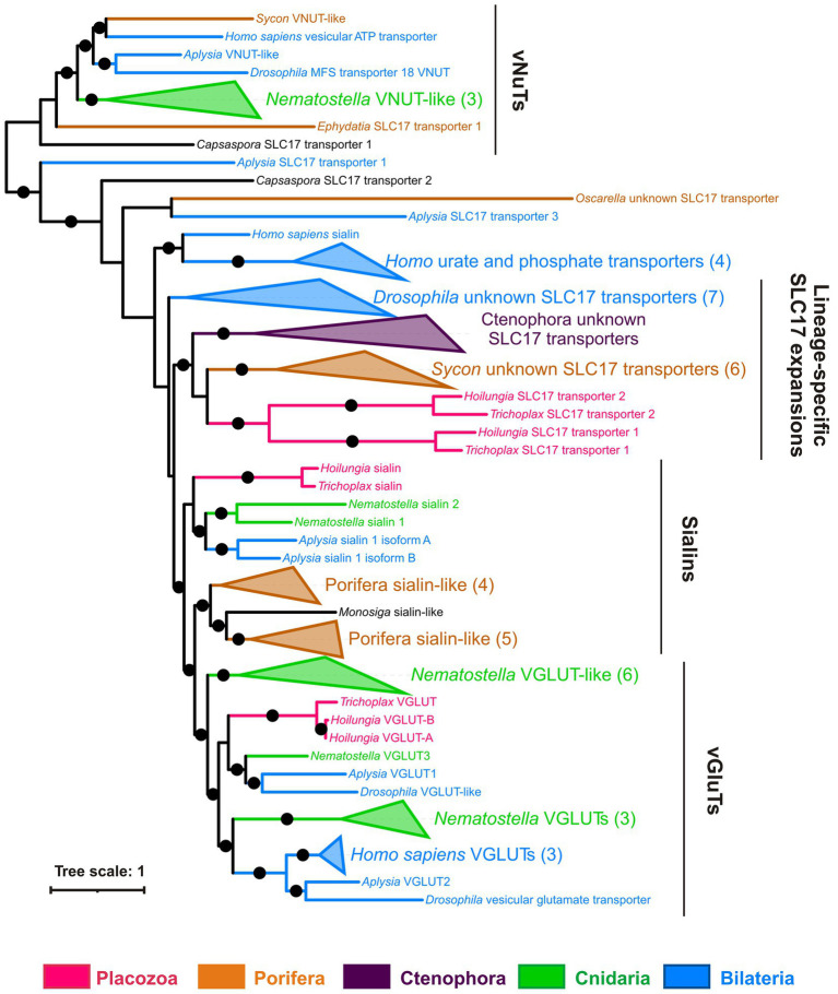 Figure 13