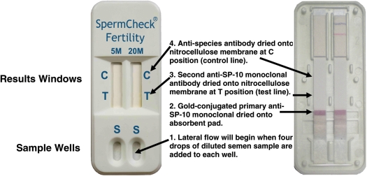 Figure 1