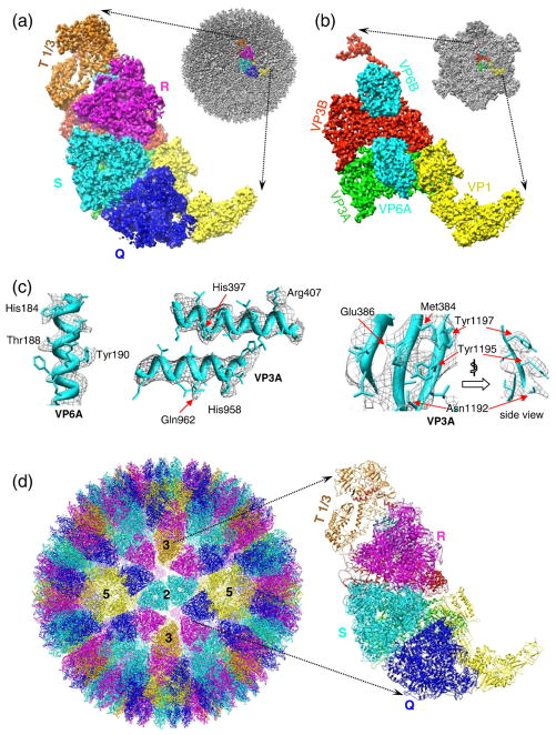 Fig. 1