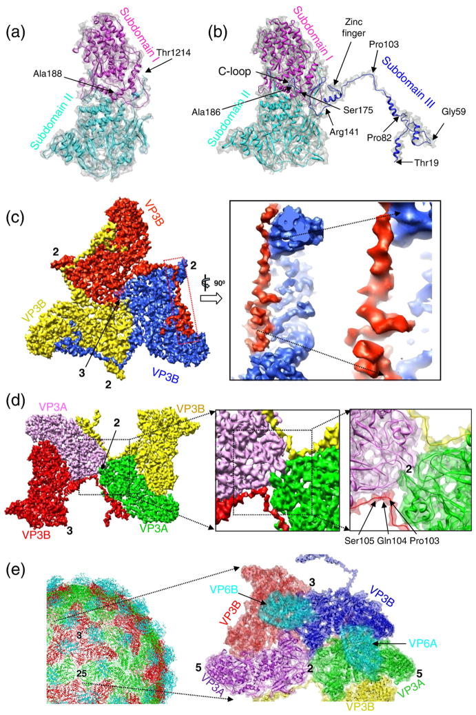 Fig. 2