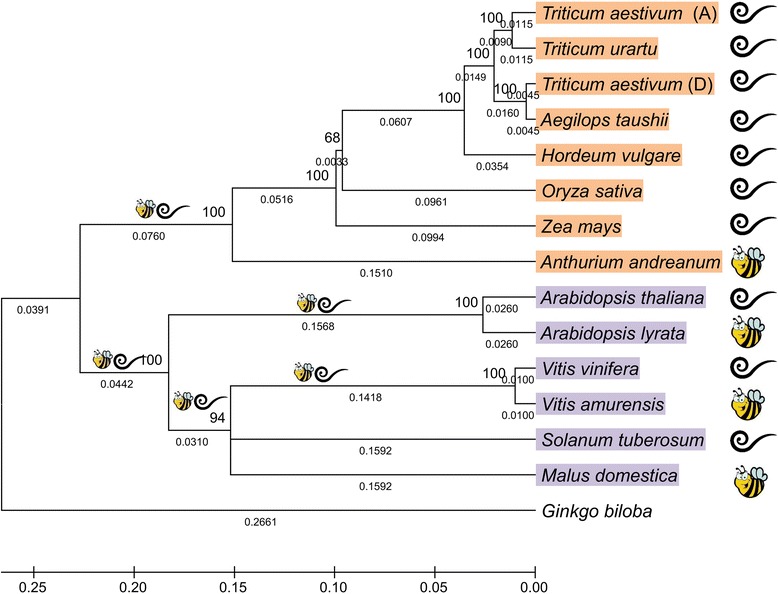 Fig. 2