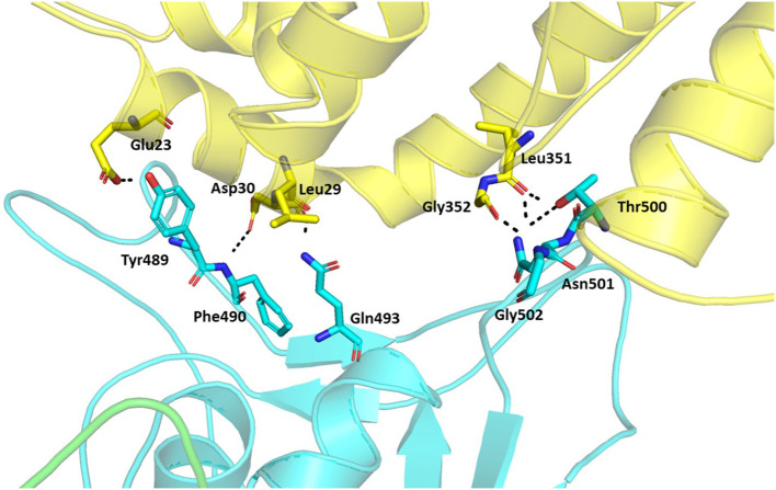 Figure 7