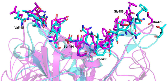 Figure 6