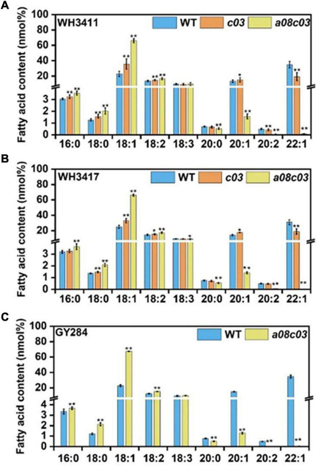 FIGURE 3