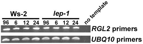 Figure 7.