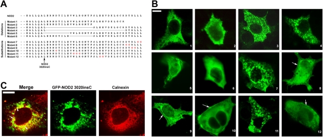 Figure 3.