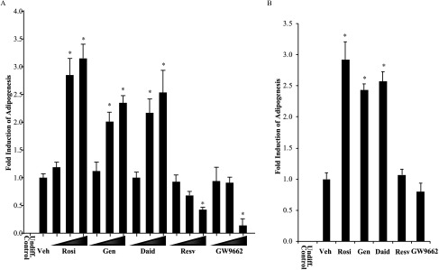 Figure 3A shows a bar graph with standard error of mean plotting fold induction of Adipogenesis on the y-axis across treatment with Undiff. Control, Vehicle, Rosiglitazone, Genistein, Daidzein, Resveratrol, and GW9662 on the x-axis. Figure 3B shows a bar graph with standard error of mean plotting fold induction of Adipogenesis on the y-axis across treatment with Undiff. Control, Vehicle, Rosiglitazone, Genistein, Daidzein, Resveratrol, and GW9662 on the x-axis.