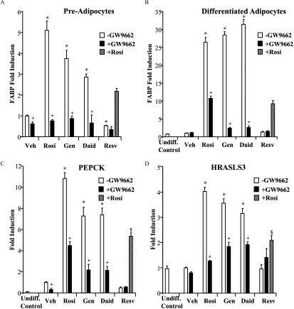 Figure 5A shows a bar graph with standard error of mean titled Pre-Adipocytes plotting F A B P fold induction on the y-axis across treatment with Vehicle, Rosiglitazone, Genistein, Daidzein, and Resveratrol on the x-axis for negative GW9662, positive GW9662, and positive Rosiglitazone. Figure 5B shows a bar graph with standard error of mean titled Differentiated Adipocytes plotting F A B P fold induction on the y-axis across treatment with Undiff. Control, Vehicle, Rosiglitazone, Genistein, Daidzein, and Resveratrol for negative GW9662, positive GW9662, and positive Rosiglitazone. Figure 5C shows a bar graph with standard error of mean titled P E P C K plotting fold induction on the y-axis across treatment with Undiff. Control, Vehicle, Rosiglitazone, Genistein, Daidzein, and Resveratrol for negative GW9662, positive GW9662, and positive Rosiglitazone. Figure 5D shows a bar graph with standard error of mean titled HRASLAS3 plotting fold induction on the y-axis across treatment with Undiff. Control, Vehicle, Rosiglitazone, Genistein, Daidzein, and Resveratrol for negative GW9662, positive GW9662, and positive Rosiglitazone.