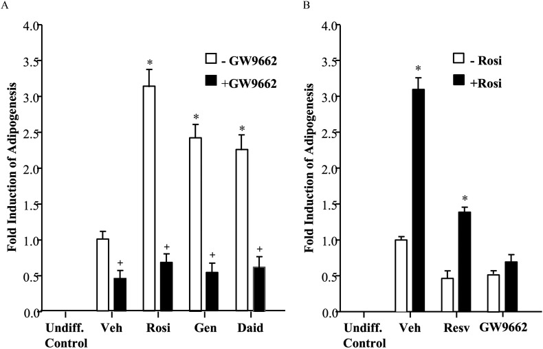 Figure 4A shows a bar graph with standard error of mean plotting fold induction of Adipogenesis on the y-axis across treatment with Undiff. Control, Vehicle, Rosiglitazone, Genistein, and Daidzein for negative GW9662 and positive GW9662. Figure 4B shows a bar graph with standard error of mean plotting fold induction of Adipogenesis on the y-axis across treatment with Undiff. Control, Vehicle, Resveratrol, and GW9662 for negative Rosi and positive Rosi.