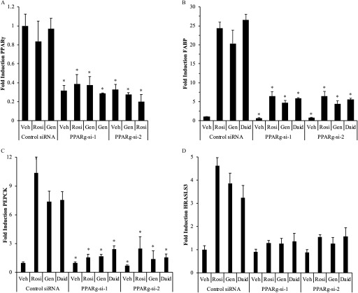 Figure 6A shows a bar graph with standard errors of mean plotting fold induction of gene expression P P A R gamma on the y-axis across samples Control s i R N A treated with Vehicle, Rosiglitazone, and Genstein; P P A R g s i 1 treated with Vehicle, Rosiglitazone, Genstein, and Genstein; and P P A R g s i 2 treated with Vehicle, Genstein, and Rosiglitazone. Figures 6B, 6C, and 6D show bar graphs with standard error of mean plotting fold induction F A B P, P E P C K, and H R A S L S 3, respectively, on the y-axis across Control s i r N A, P P A R g s i 1, and P P A R g s i 2 treated with Vehicle, Rosiglitazone, Genstein, and Daid on the x-axis.