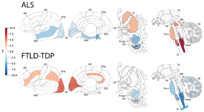 Figure 6: