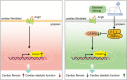 Image, graphical abstract