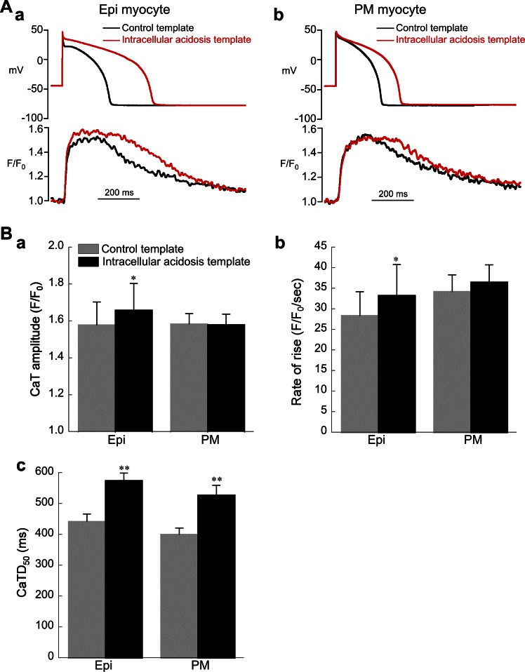 Fig. 12.