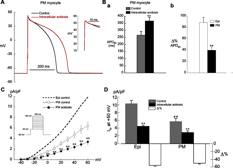 Fig. 10.