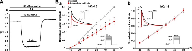 Fig. 9.