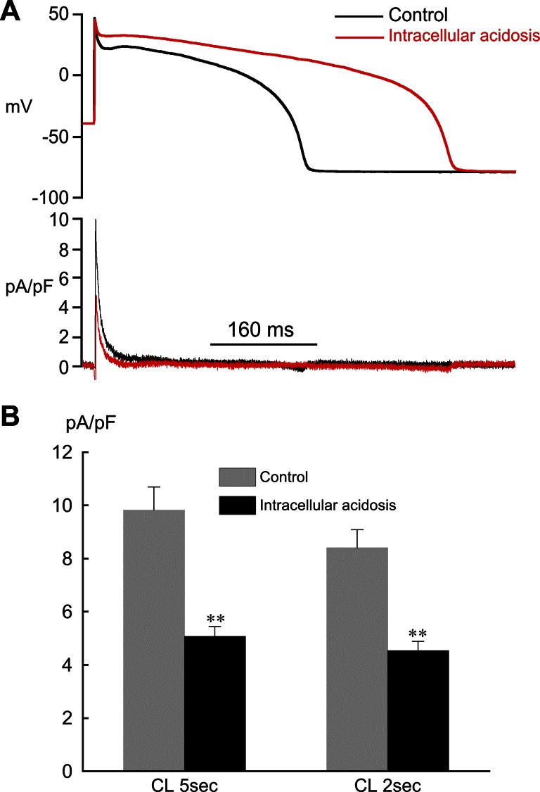 Fig. 8.