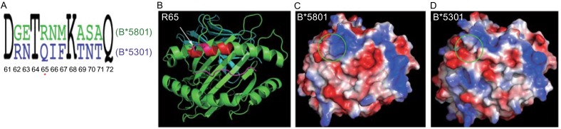 Figure 2