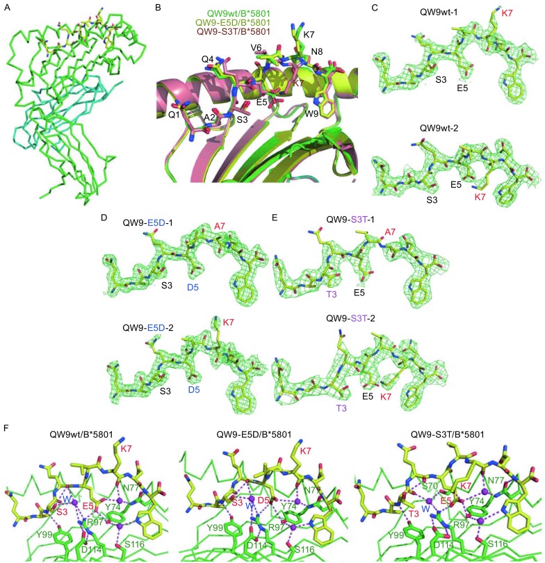 Figure 1