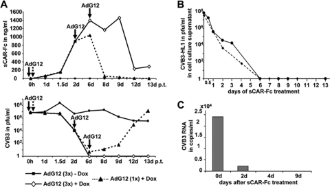 Fig. 6.