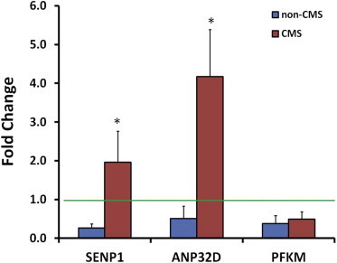 Figure 2