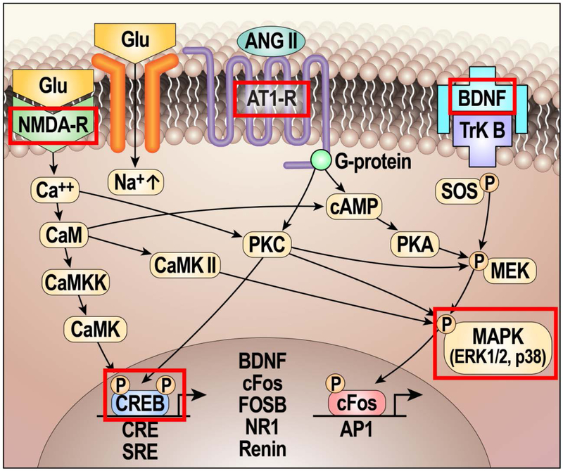 Figure 3: