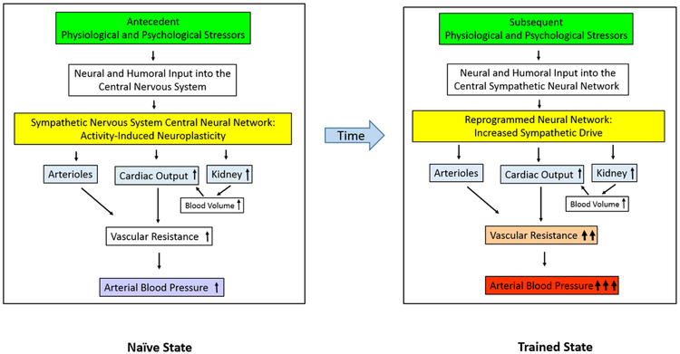 Figure 1: