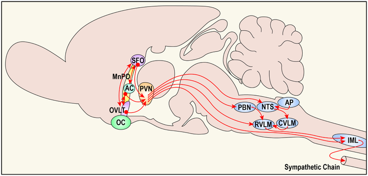 Figure 2: