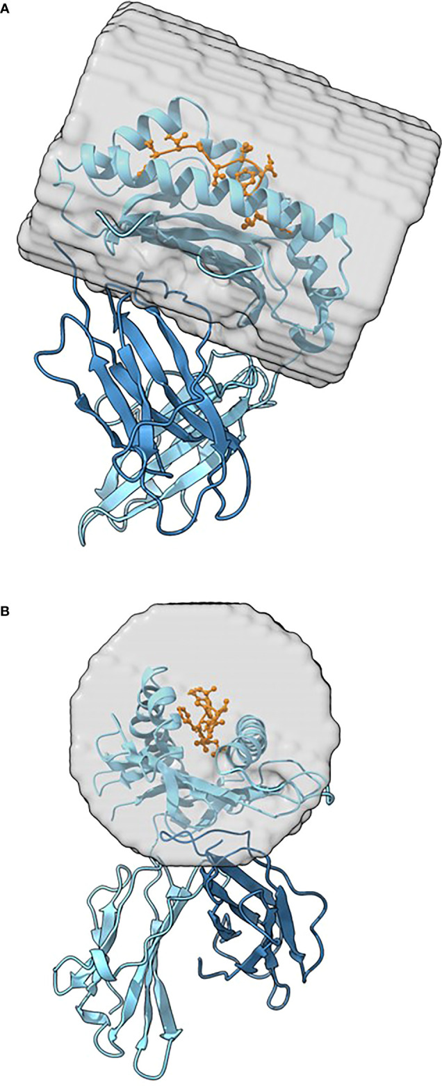 Figure 2