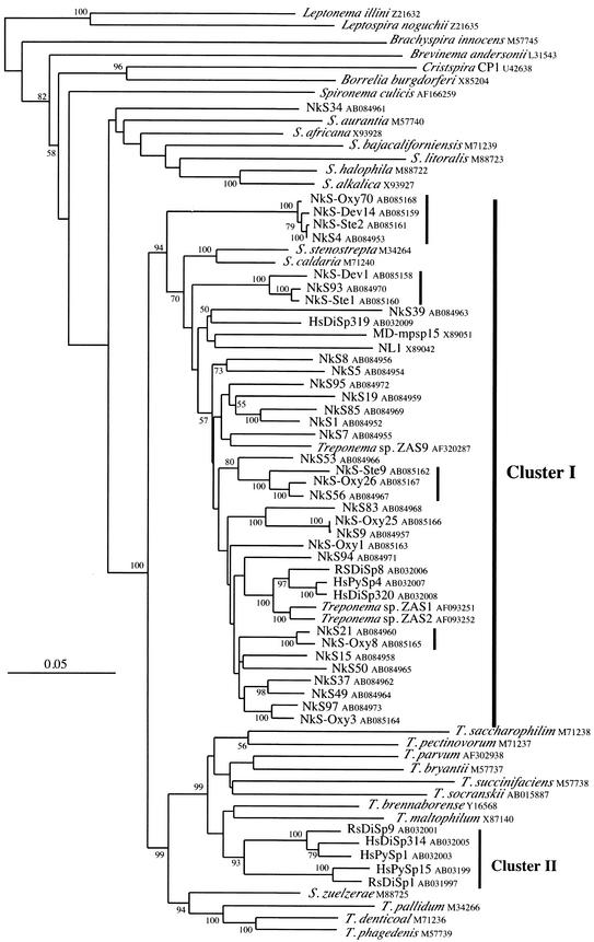 FIG.3.