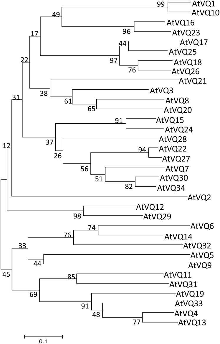 Figure 2.