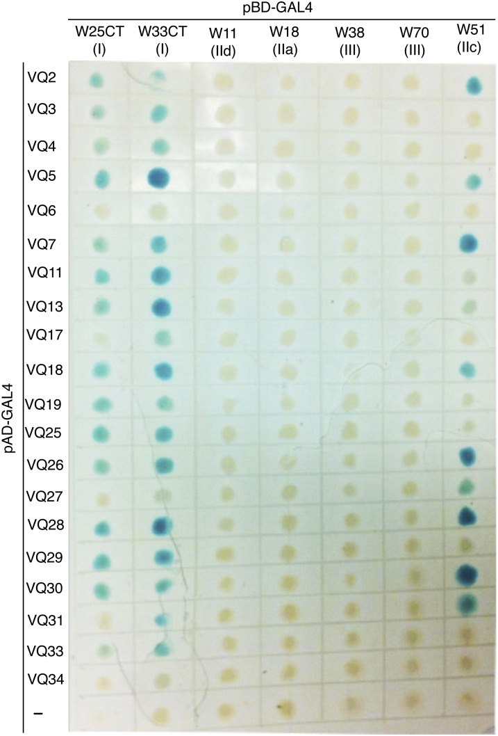 Figure 3.