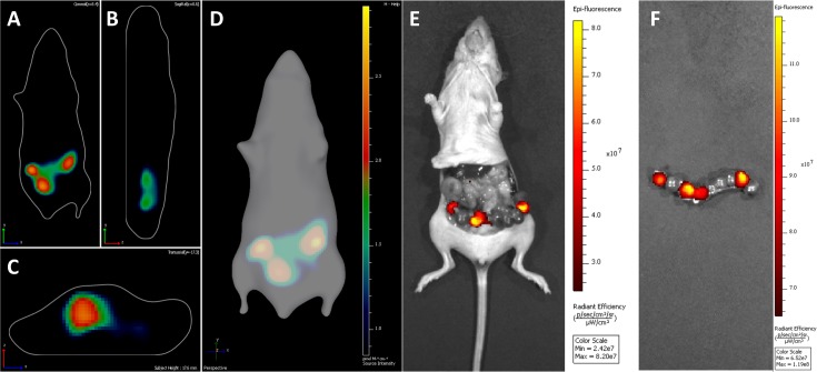 Fig. 6.