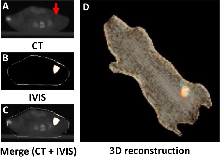 Fig. 5.