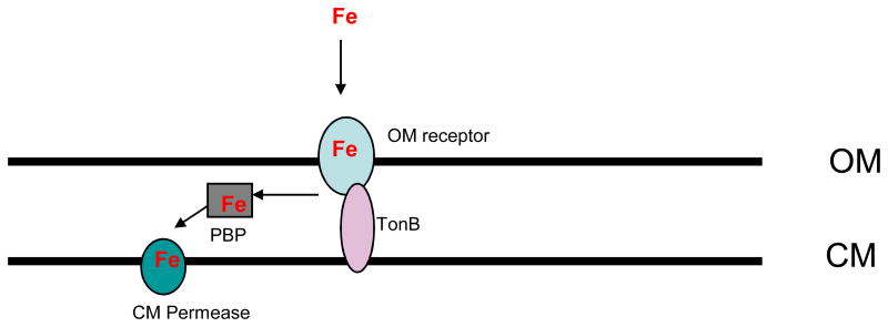 Fig. 2