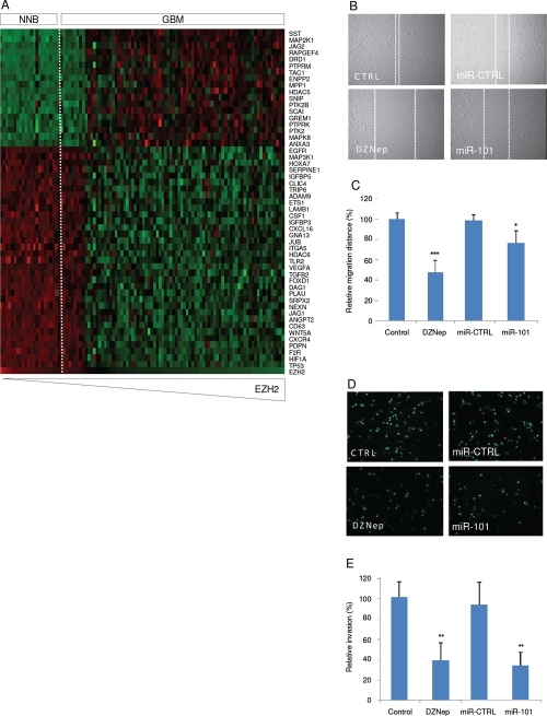 Figure 4: