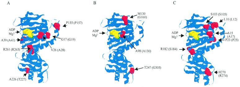 FIG. 3