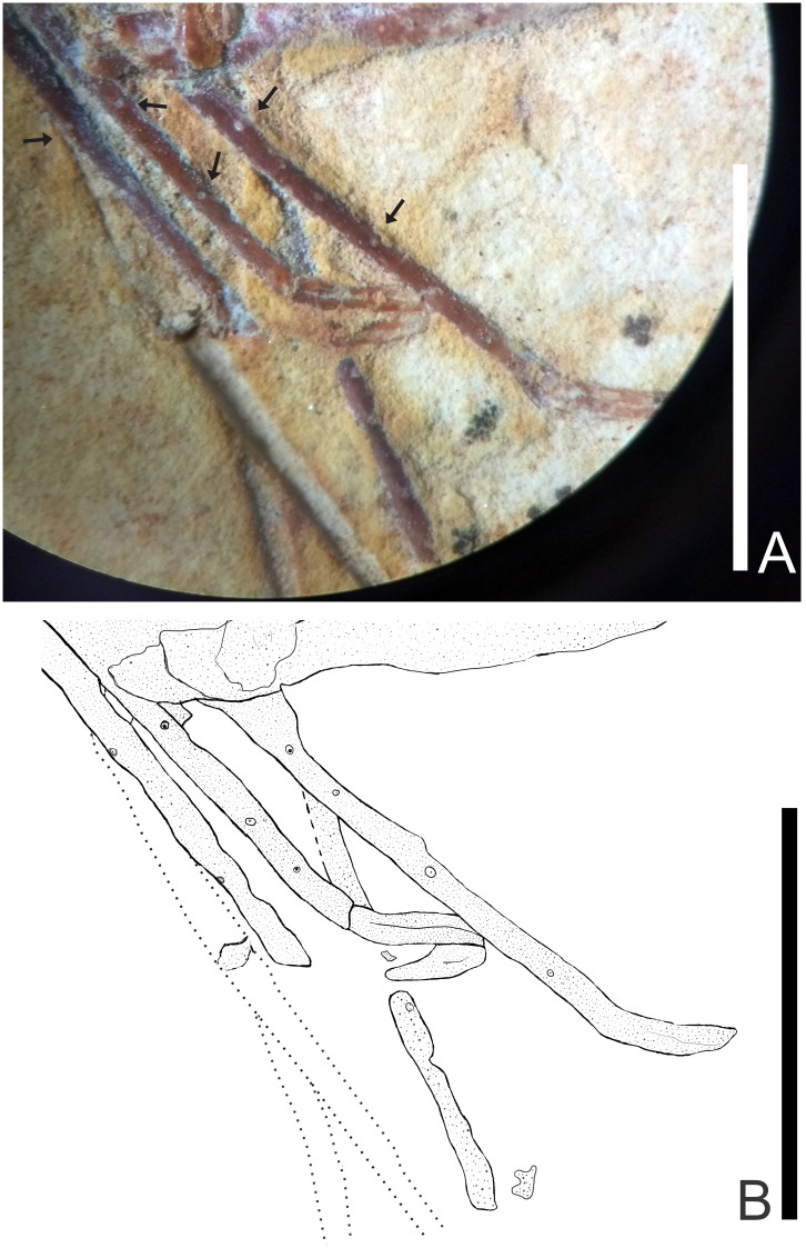 Fig 16