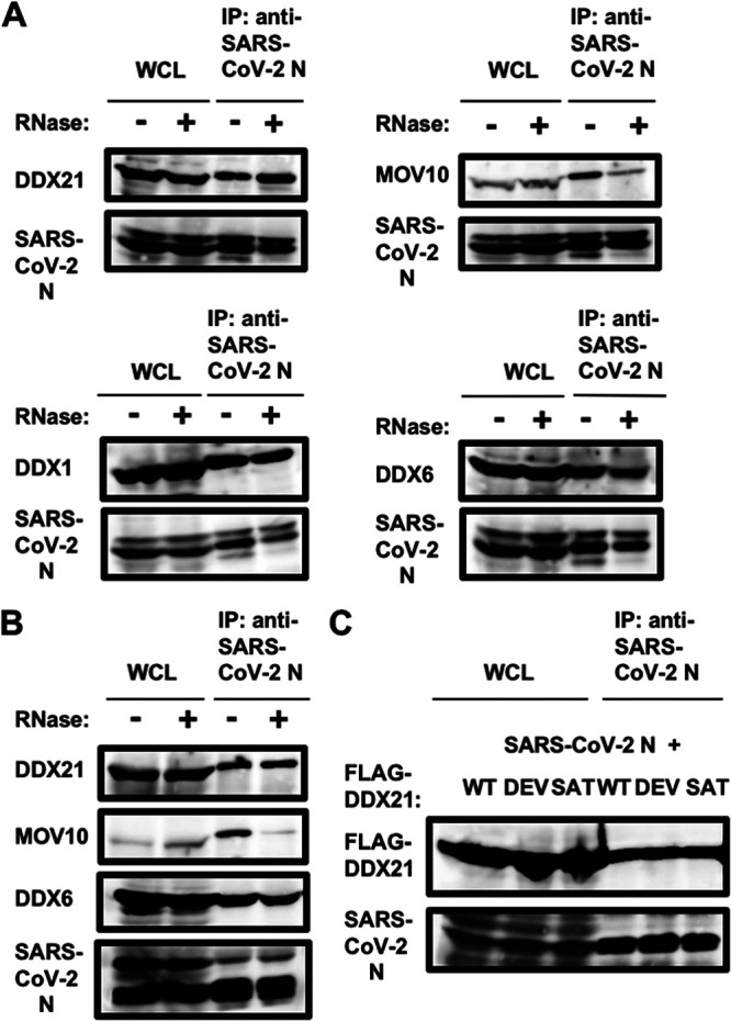 FIG 8