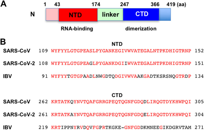 FIG 10