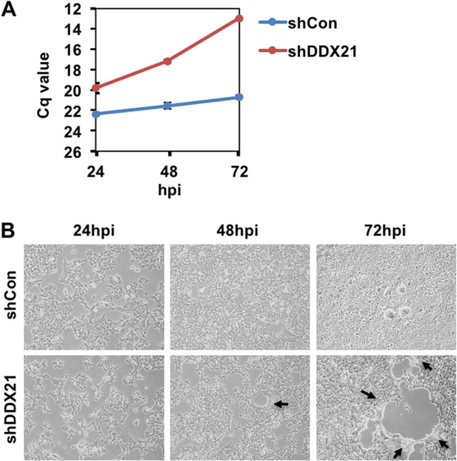 FIG 3