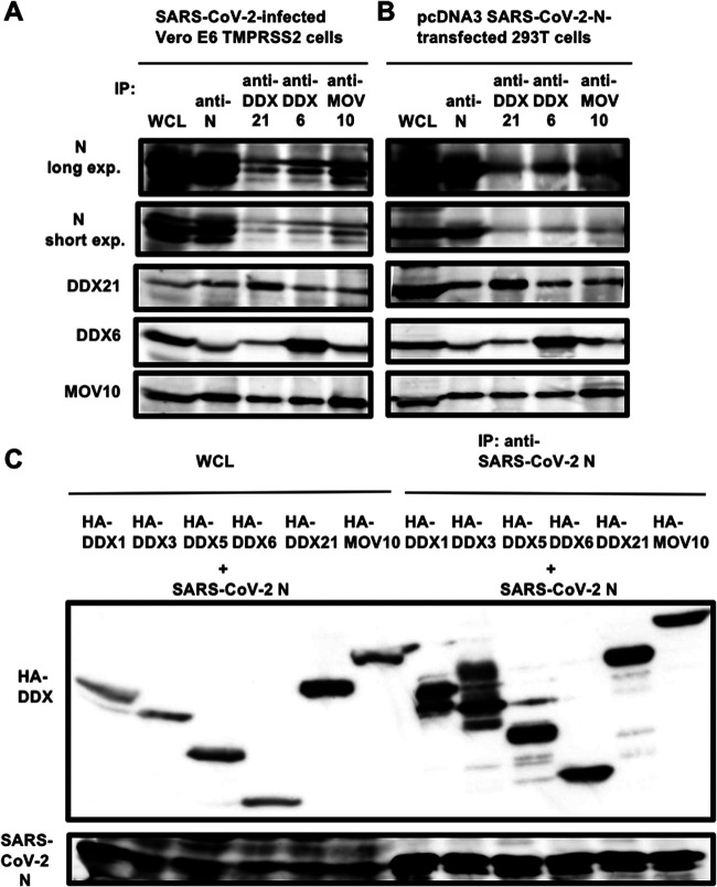 FIG 7