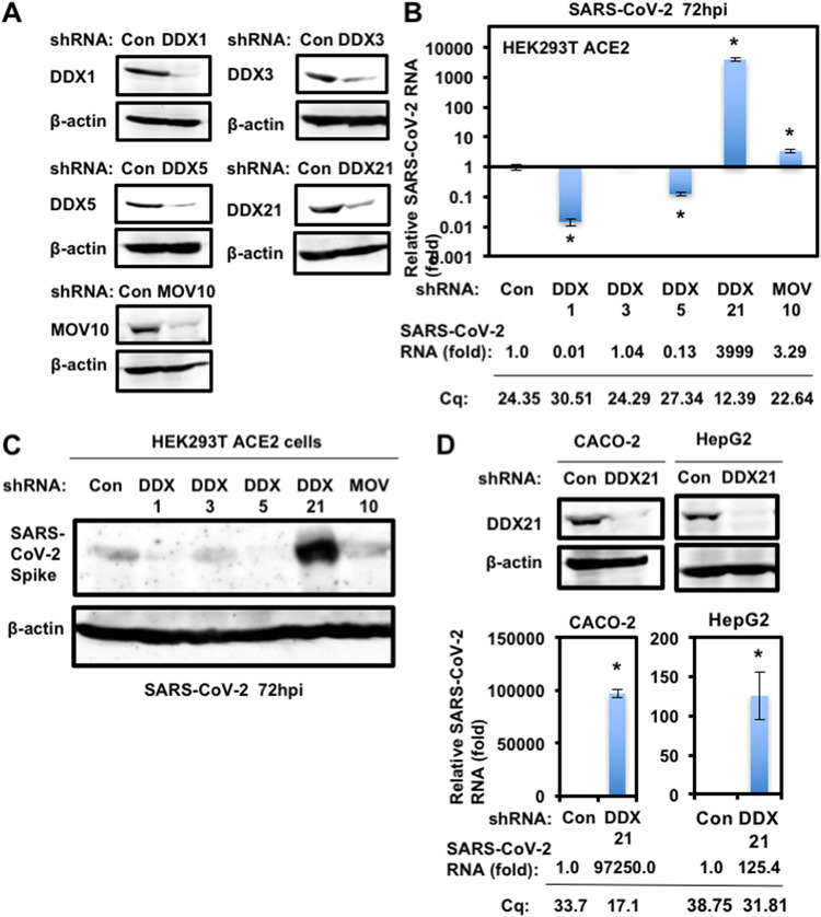 FIG 1