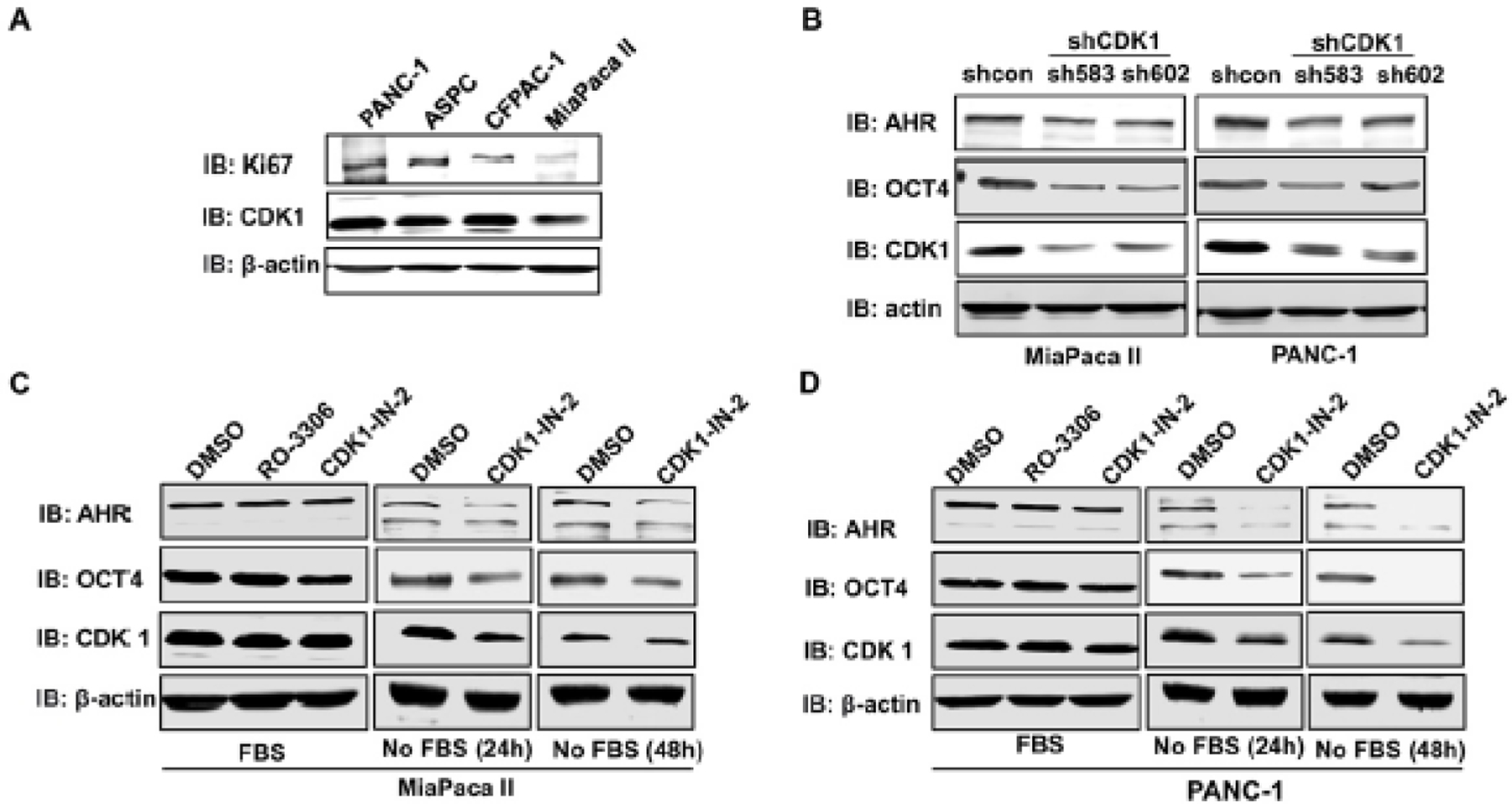 Figure 6: