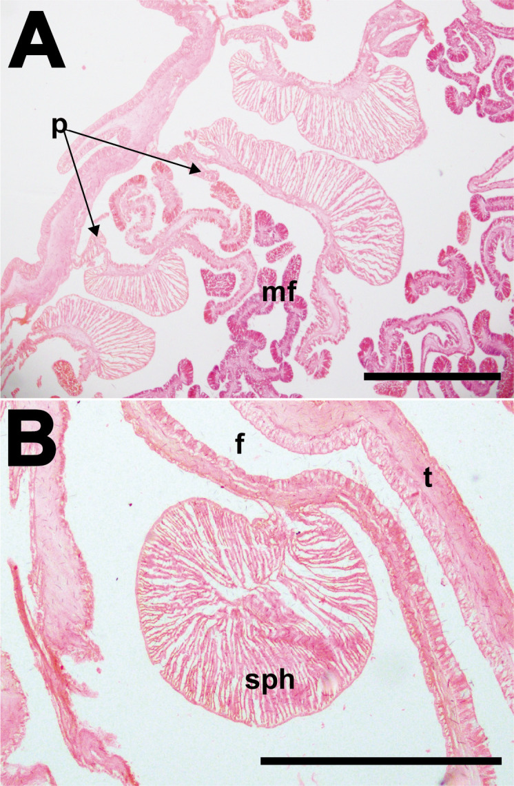 Fig. 10.