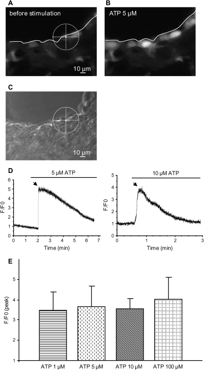 Figure 4.