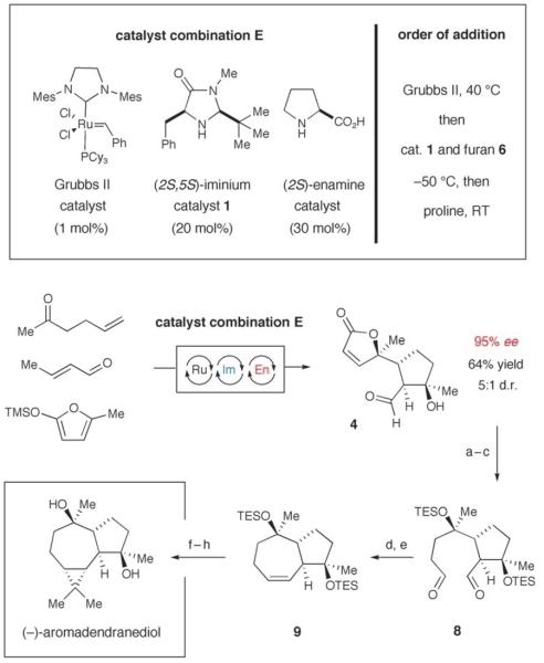 Scheme 5