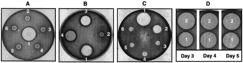 FIG. 6