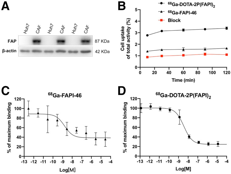 FIGURE 2.