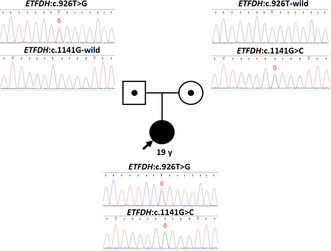 graphic file with name MGG3-12-e2489-g004.jpg